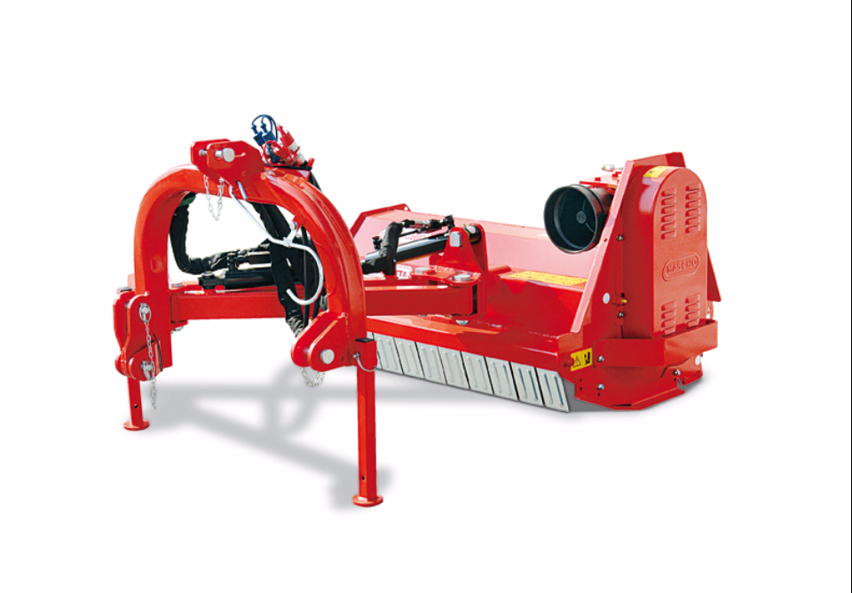 Maschio_Giraffetta